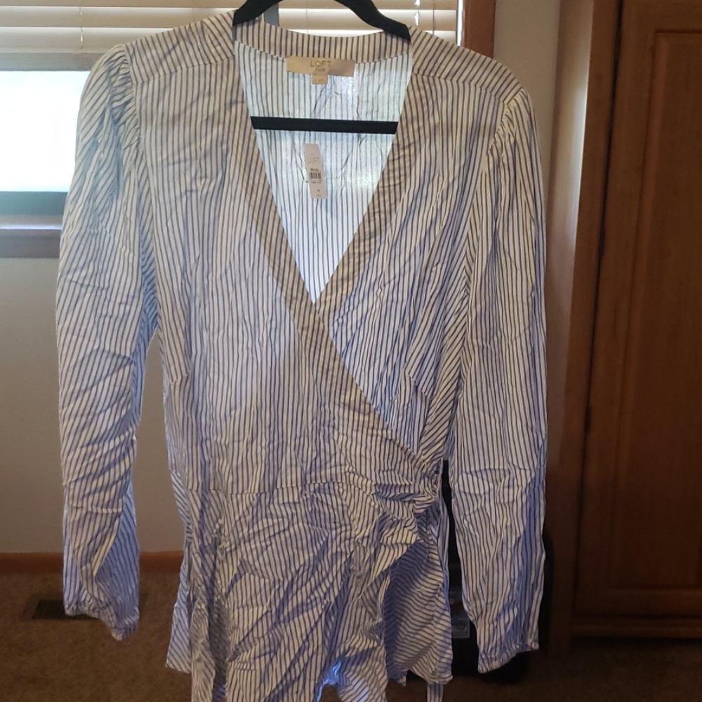 LOFT plus blue and white shirt 16